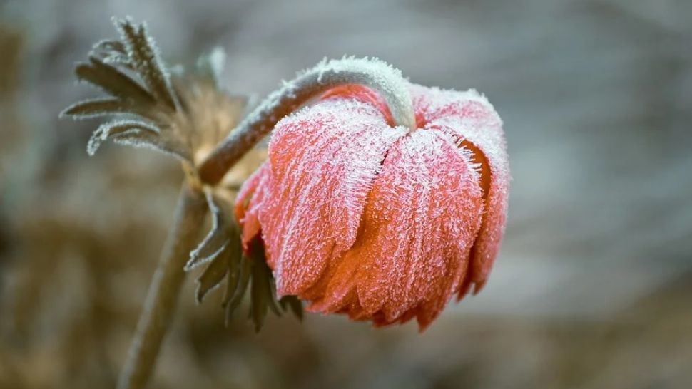 ALERTĂ METEO. Este cod galben de fenomene periculoase - HARTA