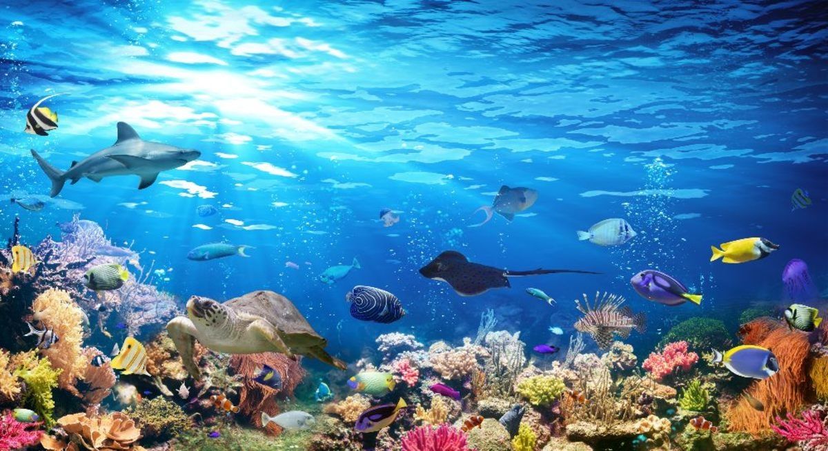 Încălzirea globală lasă oceanele fără oxigen