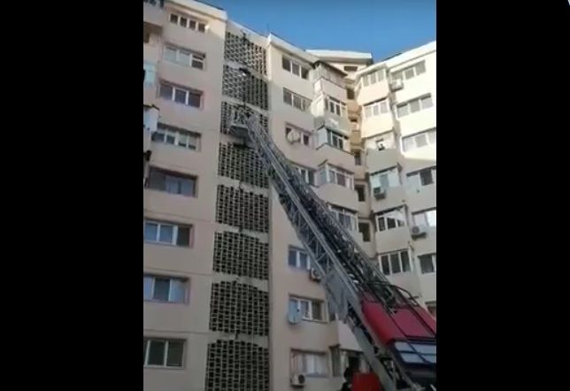 Încercare de salvare a unei pisici