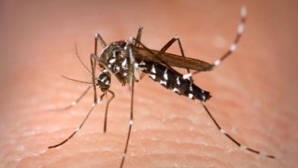 Virusul West Nile