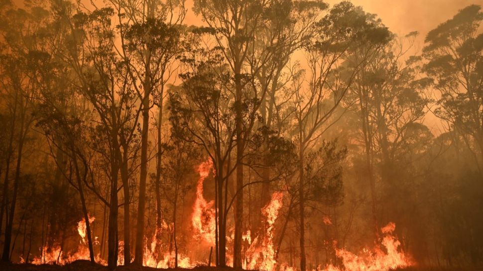 Drama australienilor nu se mai termină. Autoritățile au anunțat evacuări masive