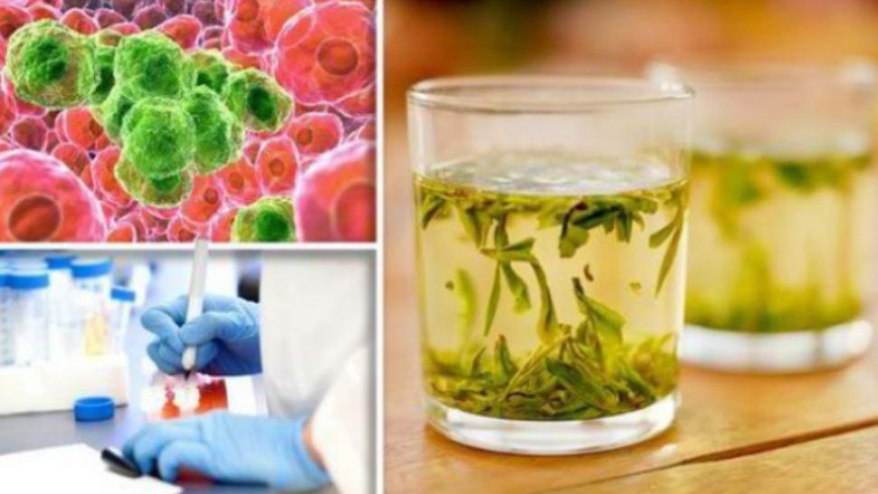 Singurul ceai care distruge celulele canceroase în 48 de ore. Cum se prepară