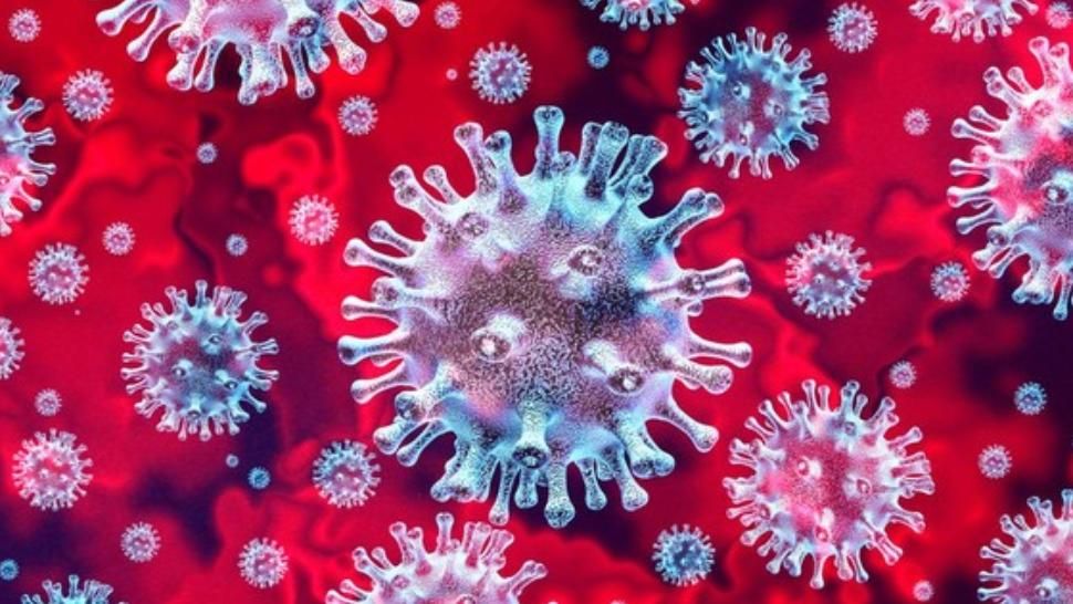 Un prim pas pentru VACCIN! Noul CORONAVIRUS, recreat de cercetătorii australieni