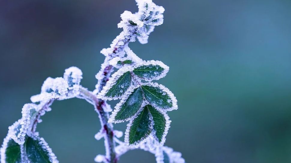 Prognoza meteo pe o lună. Schimbări radicale: cum va fi vremea până pe 10 februarie