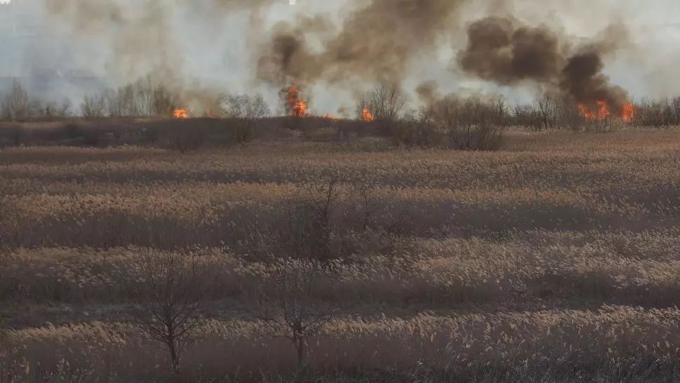 Un alt incendiu a izbucnit în DELTA VĂCĂREȘTI! Se solicită sprijinul Poliţiei Capitalei