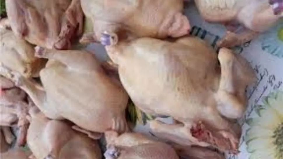 10 firme de carne de pasăre și Uniunea Crescătorilor de Păsări, suspectate de creșterea artificială a prețurilor - Ce sancțiuni le așteaptă