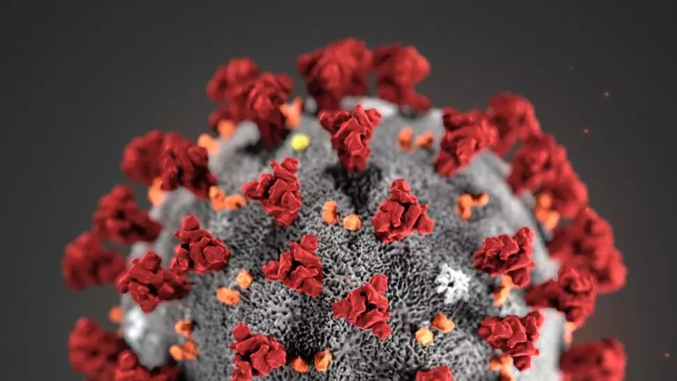 Suspect de coronavirus în Constanța