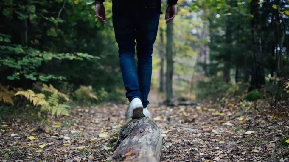 A luat-o pe scurtătură, prin pădure. A auzit un urlet. Când a dat frunzele la o parte, şoc!