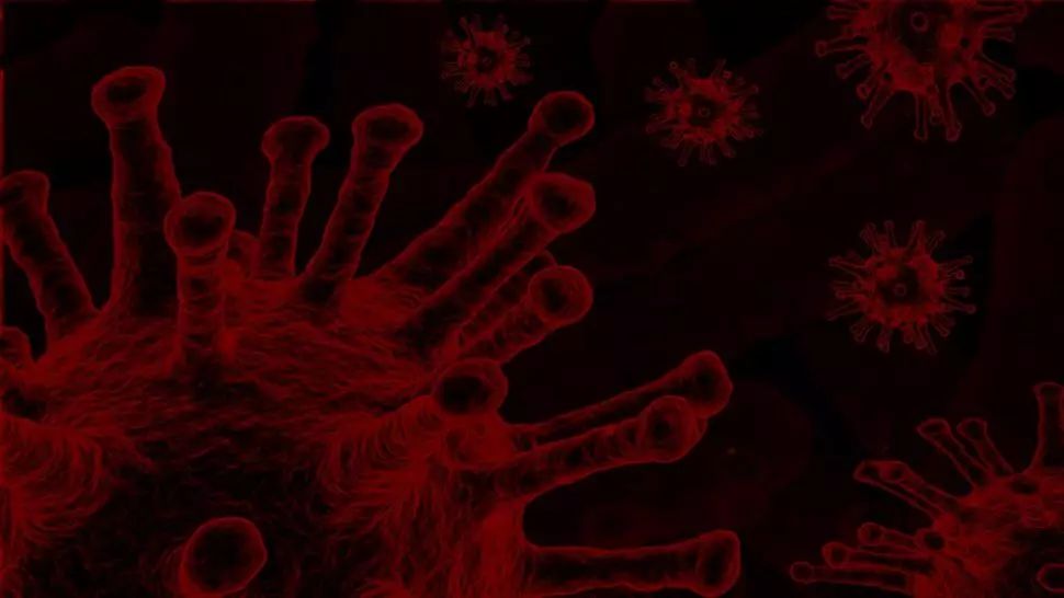 coronavirus Foto: Pixabay.com
