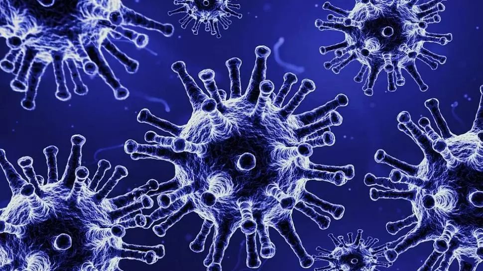 coronavirus Foto: Pixabay.com