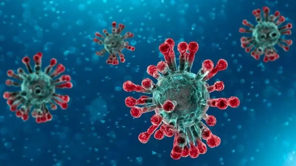 coronavirus COVID-19