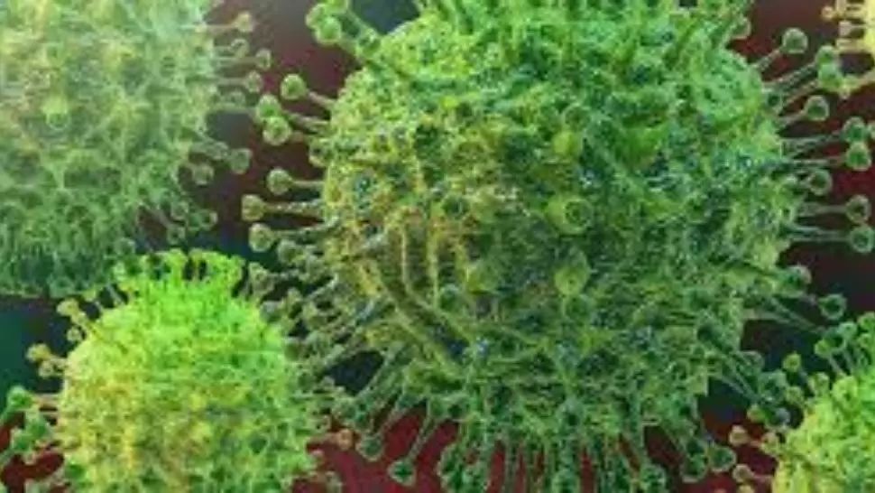 coronavirus
