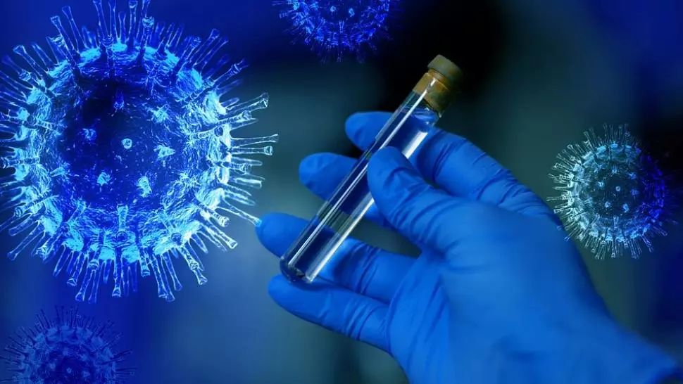 coronavirus