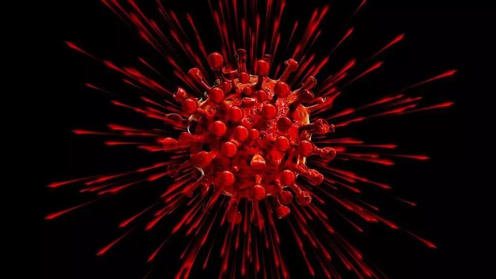coronavirus