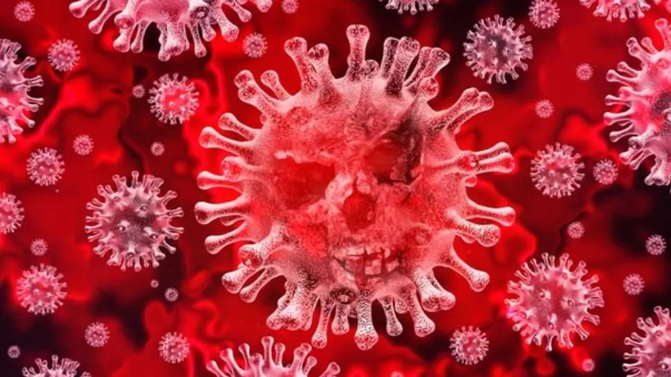 coronavirus