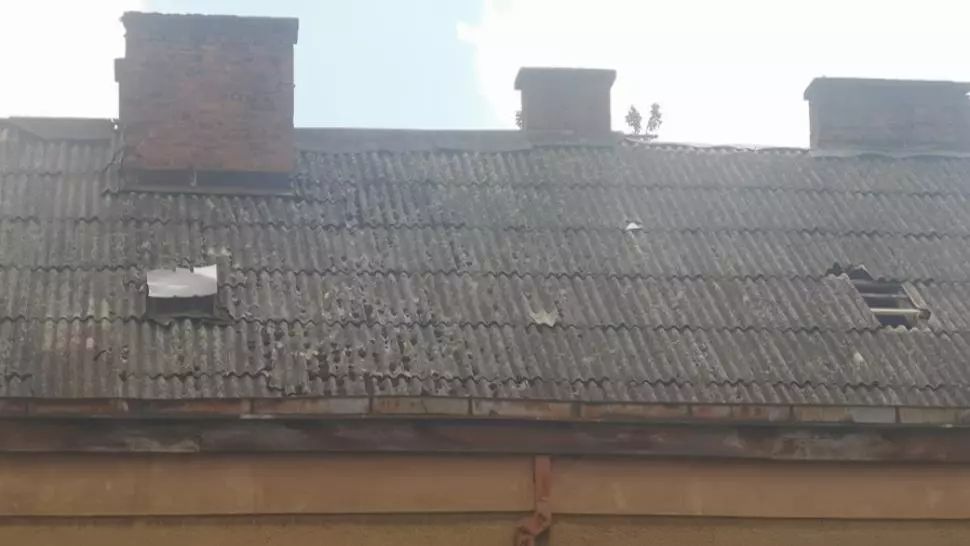 Vântul a făcut PRĂPĂD la Satu Mare: Copaci doborâți la pământ și acoperișuri smulse 