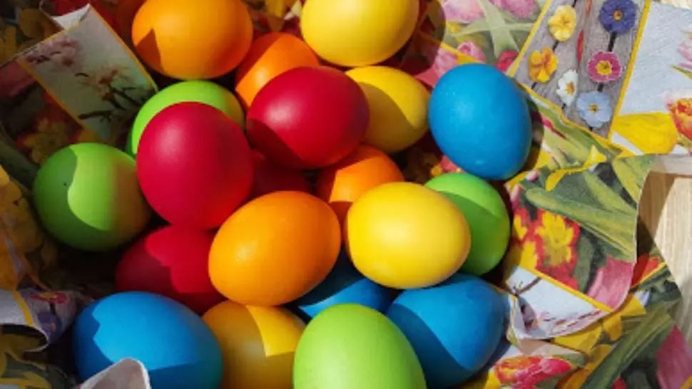 Program de Paste la realitatea PLUS