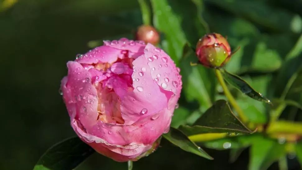 Prognoza meteo pe o lună. Schimbări majore: cum va fi vremea până pe 25 mai