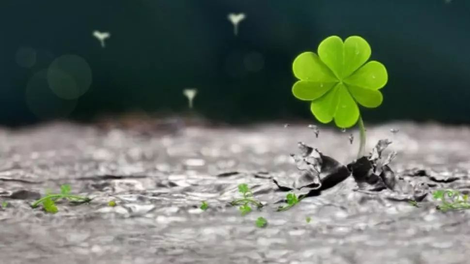 Horoscop 28 aprilie. Zodia care stă pe un munte de bani. În sfârșit, norocul îi surâde. O zi plină de reușite