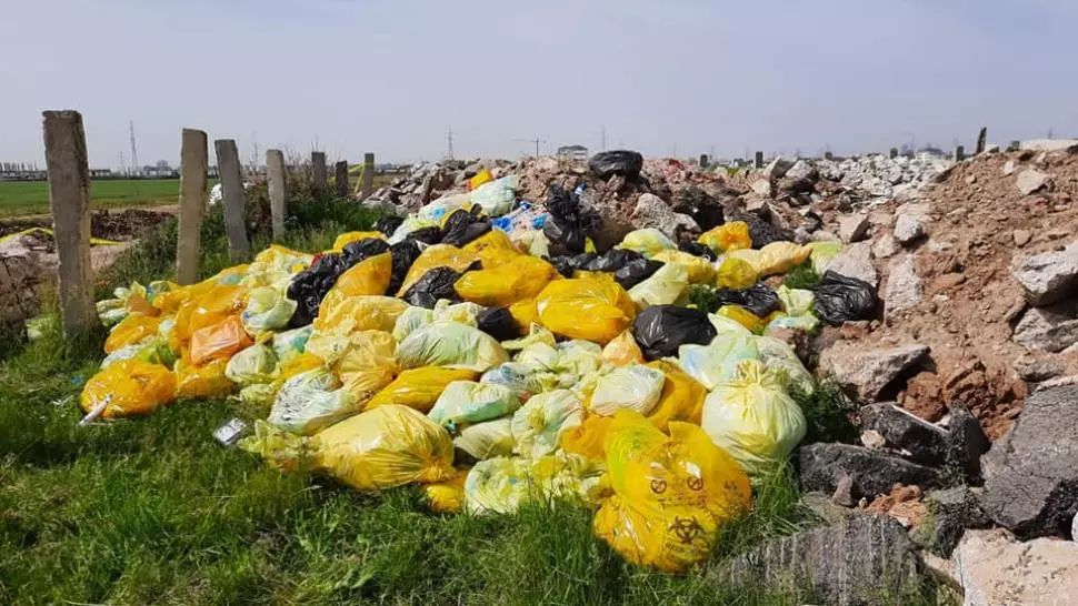 bomba biologica pe camp