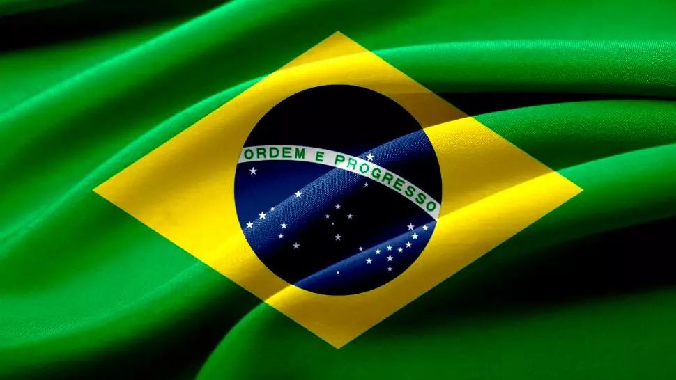 brazilia virus