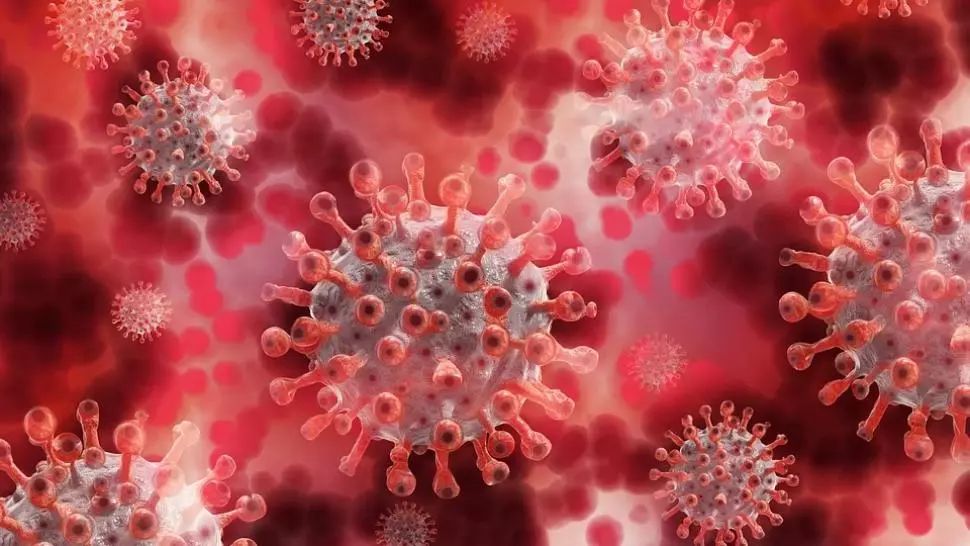 coronavirus bilant