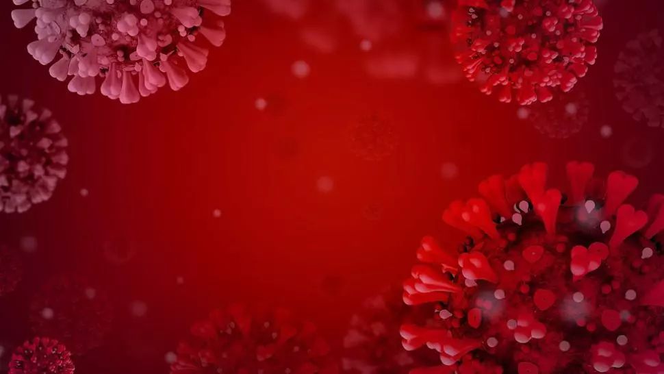 coronavirus