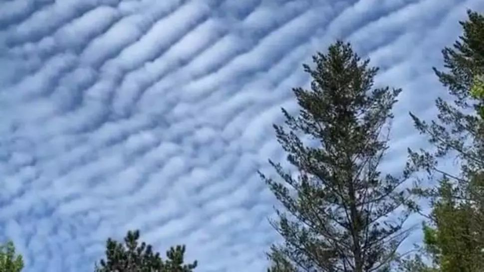zăpadă munte Foto: Facebook/Meteoplus