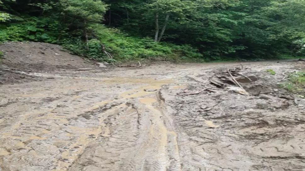 ARGEȘ: Mașini blocate din cauza ploilor abundente VIDEO