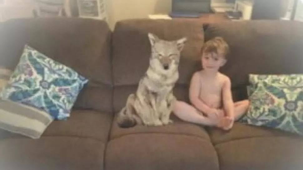 I-a spus soţului că a găsit "un căţeluş". Când a văzut poza, a îngheţat: "Ia copilul şi fugi!" 