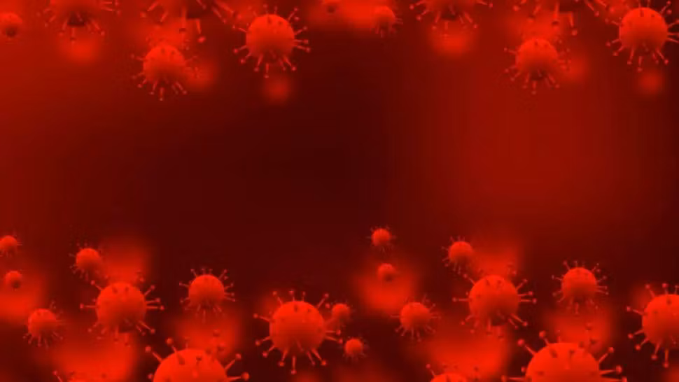 coronavirus Foto: Pixabay.com