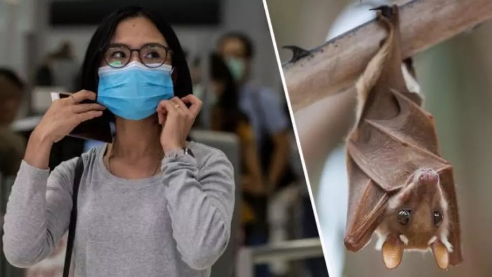 Chinezii ar fi descoperit coronavirusul acum 7 ani şi l-au ţinut într-un laborator. Teoria care a șocat