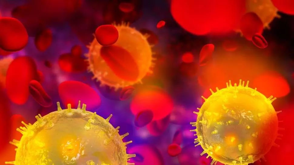 coronavirus Foto: Pixabay.com