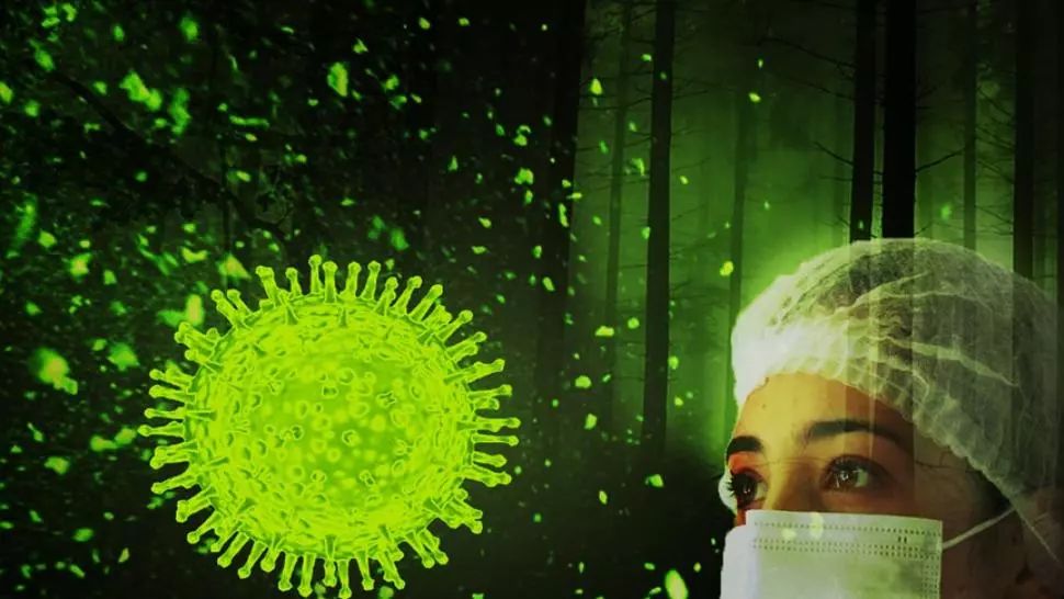 coronavirus Foto: Pixabay.com