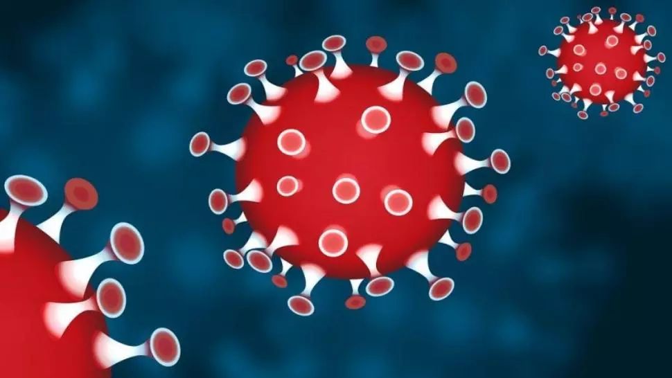 coronavirus