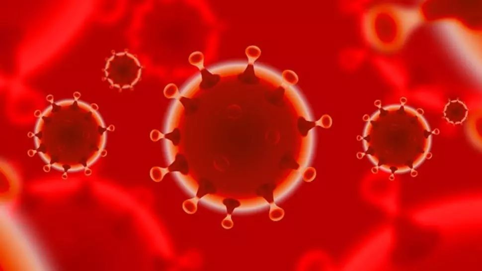 coronavirus Foto: Pixabay.com