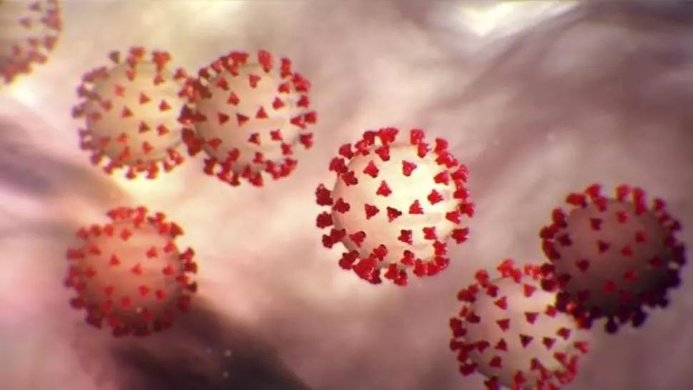 Coronavirus