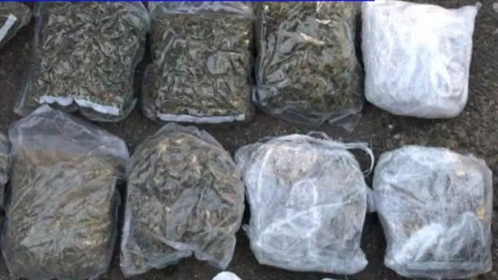 Captură impresionantă de droguri