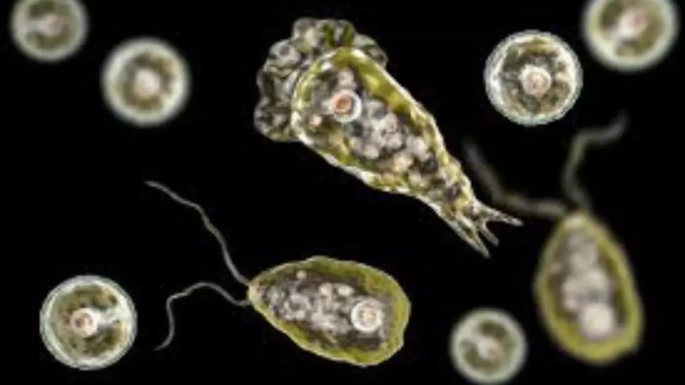 Stare de urgență în Texas, după ce s-a descoperit în apă un microorganism care ”mănâncă creier”