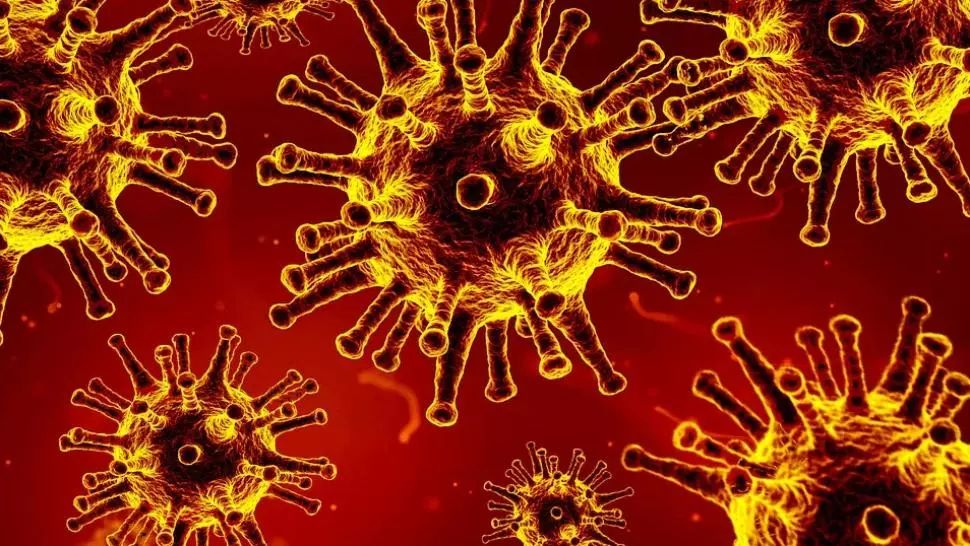 Spania a raportat cea mai mare rată de infectare de la începutul epidemiei de coronavirus