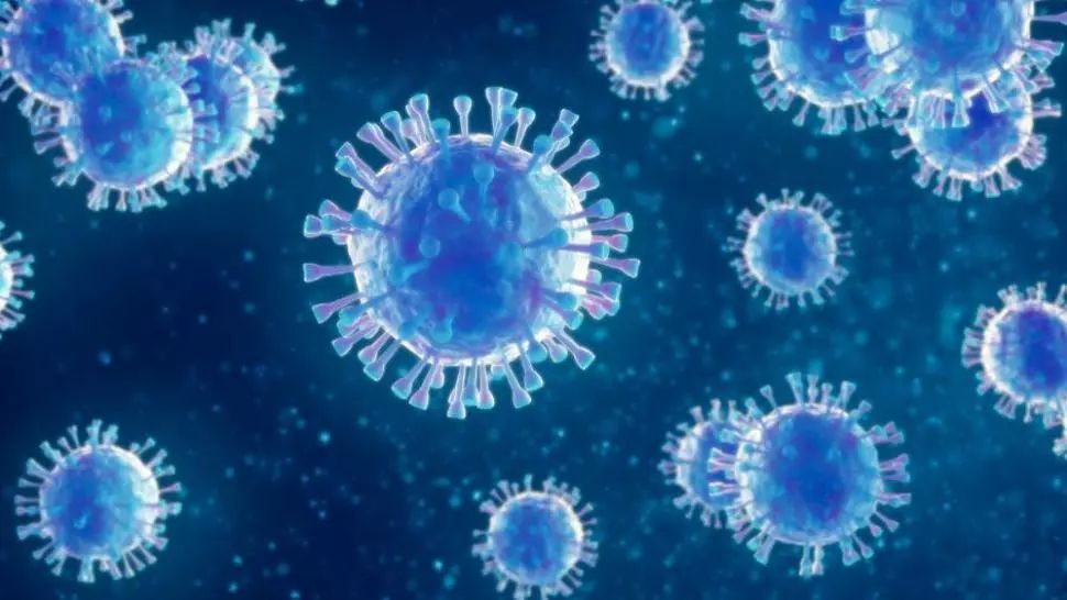 coronavirus cluj