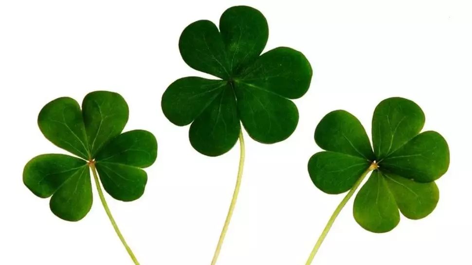 Horoscop 21 octombrie. Asocierea într-o afacere nouă îți poate aduce beneficii  financiare substanțiale