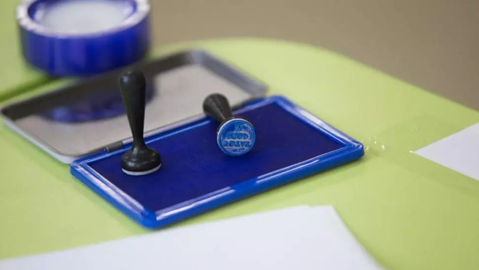 Alegeri parlamentare 2020: Diaspora a început să voteze. 748 de secții pregătite - Documentele necesare pentru a vota în străinătate