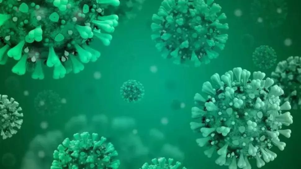 RECORD de contaminări în Brazilia și primul caz de reinfectare cu Sars-Cov-2 depistat 