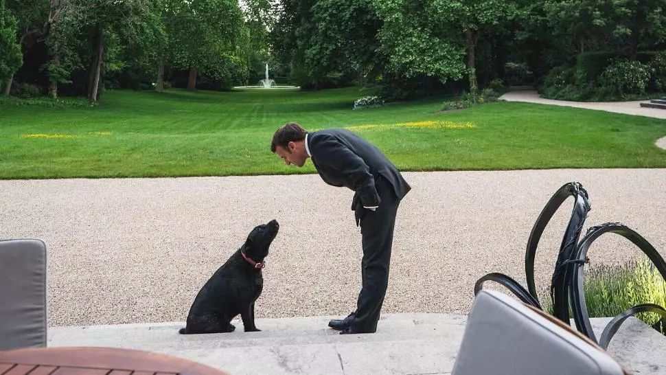 VIDEO Nemo, câinele familiei Macron, videoclip contra abandonului animalelor