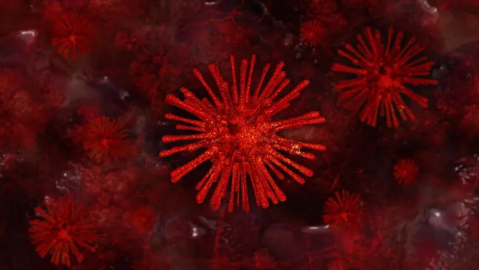 coronavirus Foto: Pixabay.com
