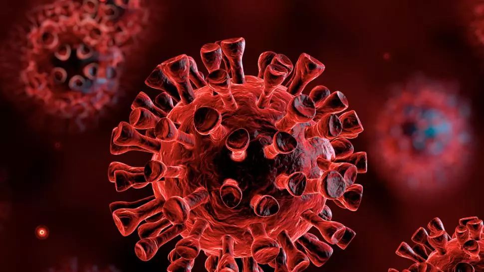 coronavirus Foto: Pixabay.com