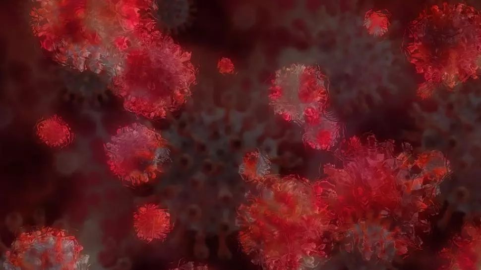 variante noi coronavirus Foto: Pixabay.com