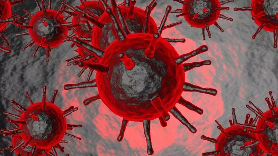 Noua tulpină din Africa de Sud nu este mai MORTALĂ, ci foarte CONTAGIOASĂ