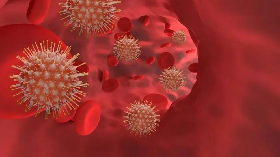 Virusul Nipah reaprinde alerta sanitară în Asia